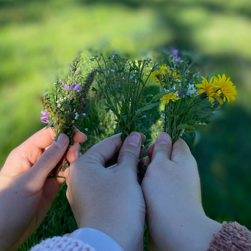 Meet your Posher, Kinsee